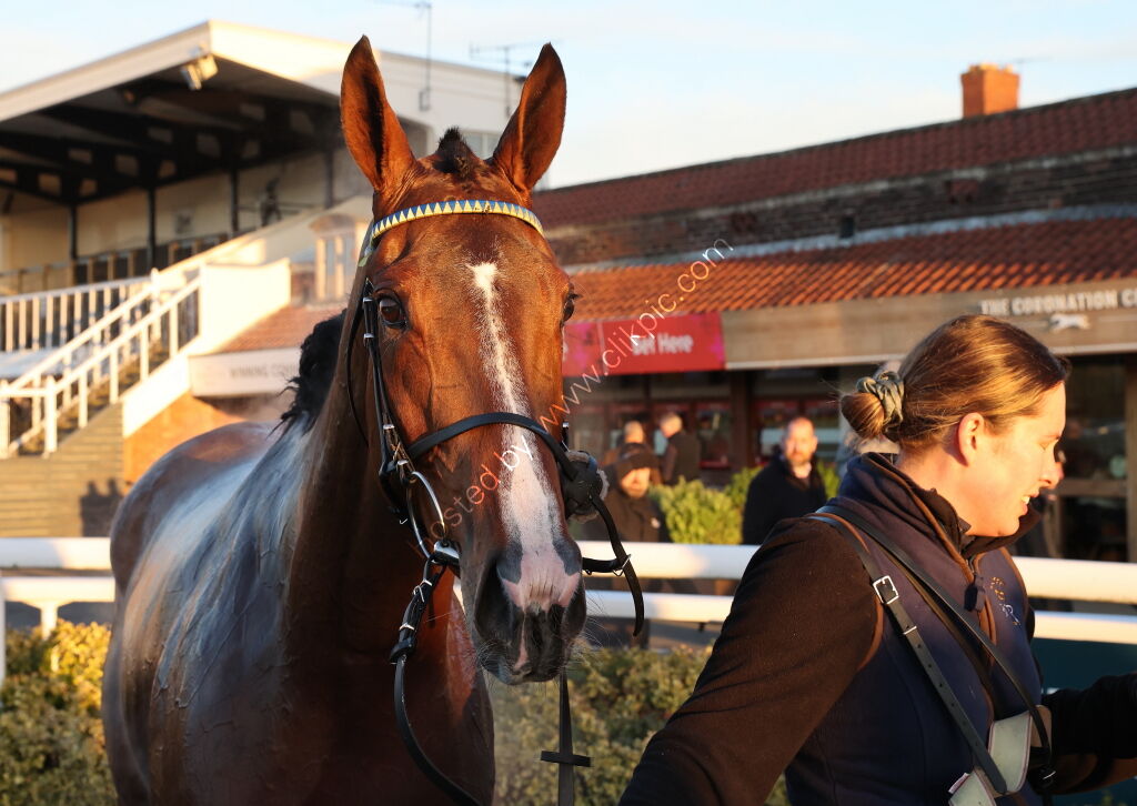 TBA Breders' Day Mares' Open NH Flat Race