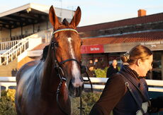 TBA Breders' Day Mares' Open NH Flat Race