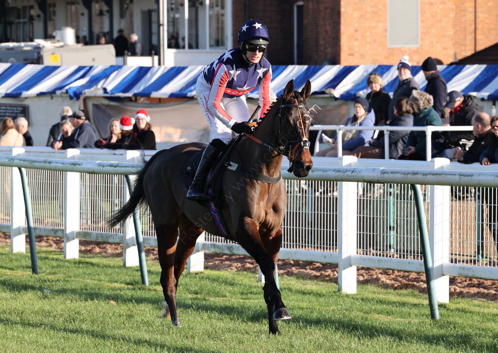 Alpha Fillies' Juvenile Maiden Hurdle