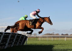 Alpha Fillies' Juvenile Maiden Hurdle