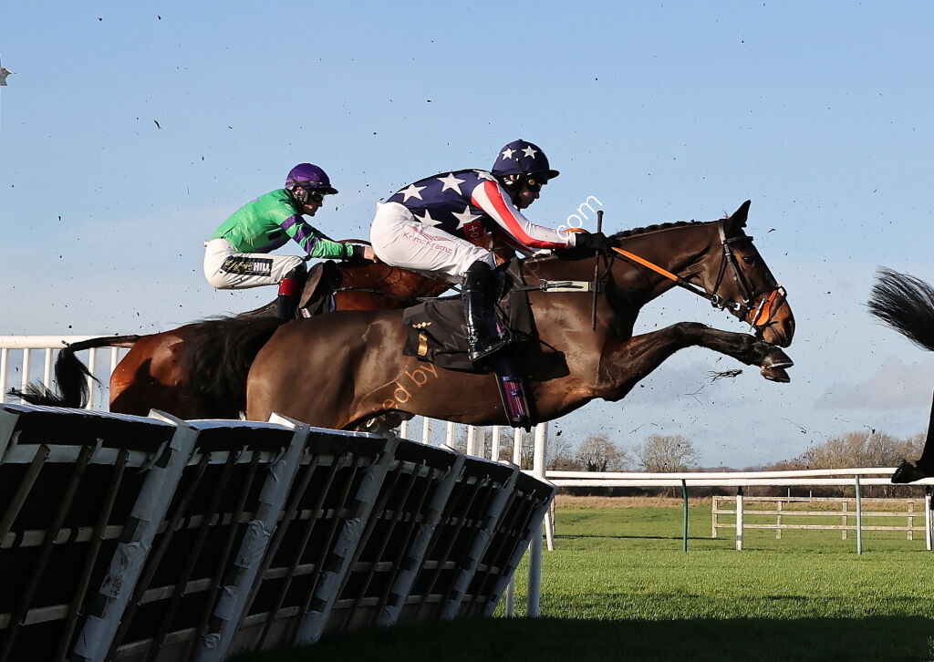 Alpha Fillies' Juvenile Maiden Hurdle