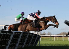 Alpha Fillies' Juvenile Maiden Hurdle