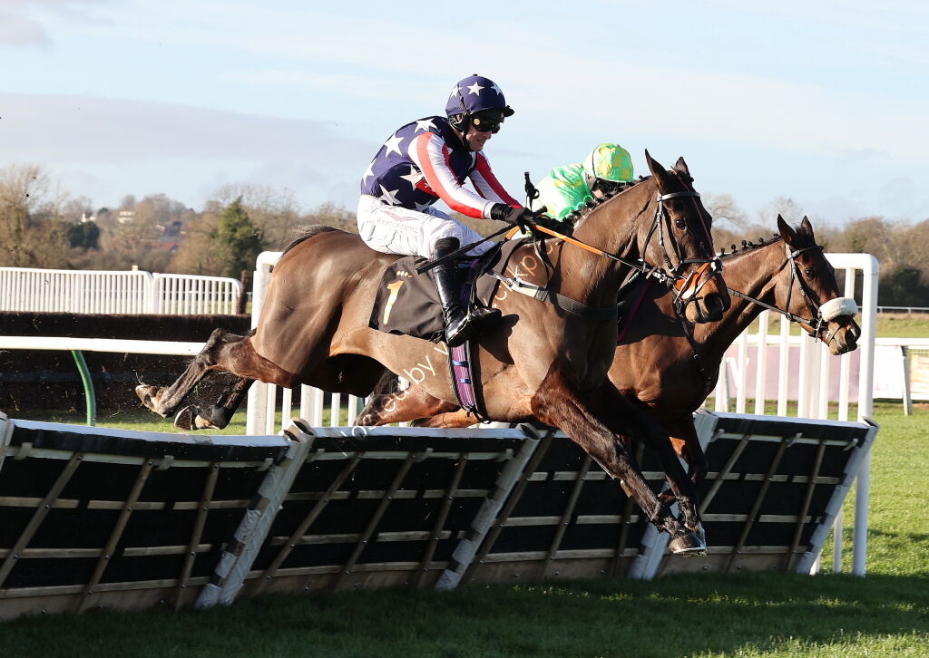 Alpha Fillies' Juvenile Maiden Hurdle