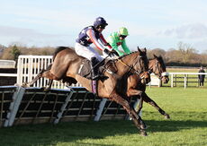 Alpha Fillies' Juvenile Maiden Hurdle