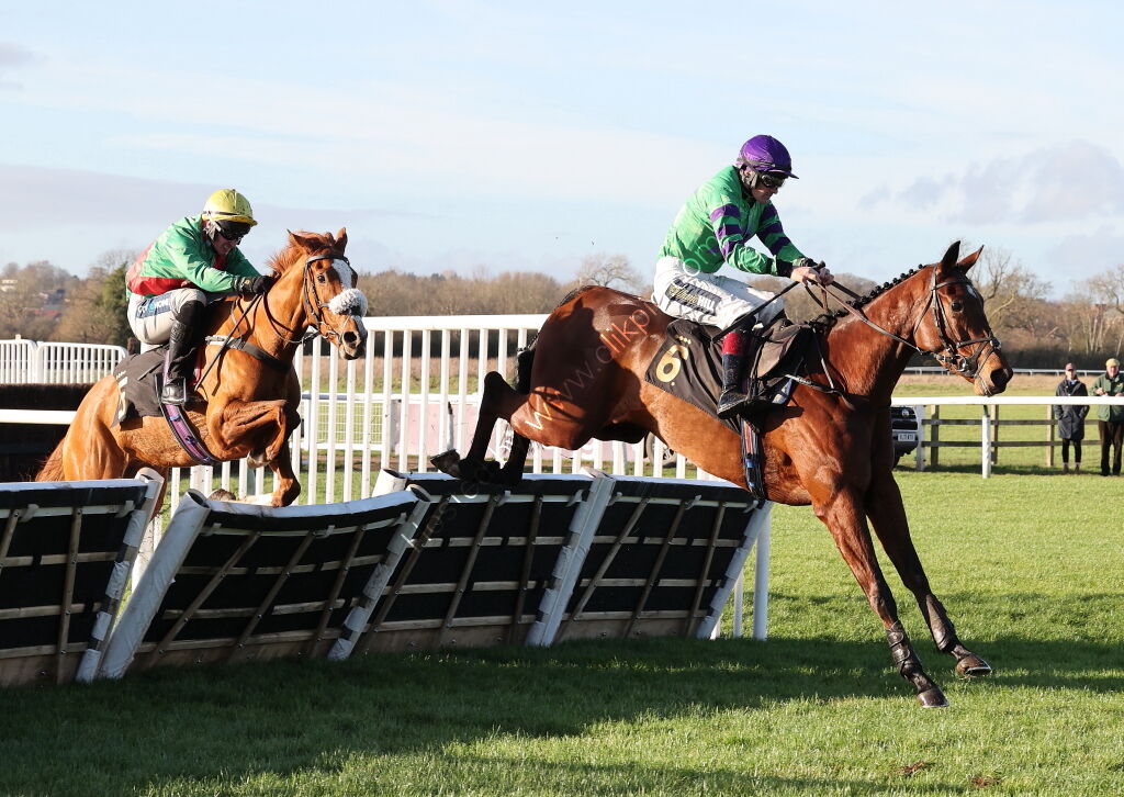 Alpha Fillies' Juvenile Maiden Hurdle
