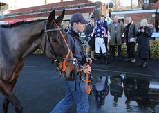 Alpha Fillies' Juvenile Maiden Hurdle