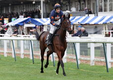 Aztec Aerosols Nov H'cap Chase