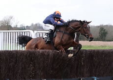 Aztec Aerosols Nov H'cap Chase