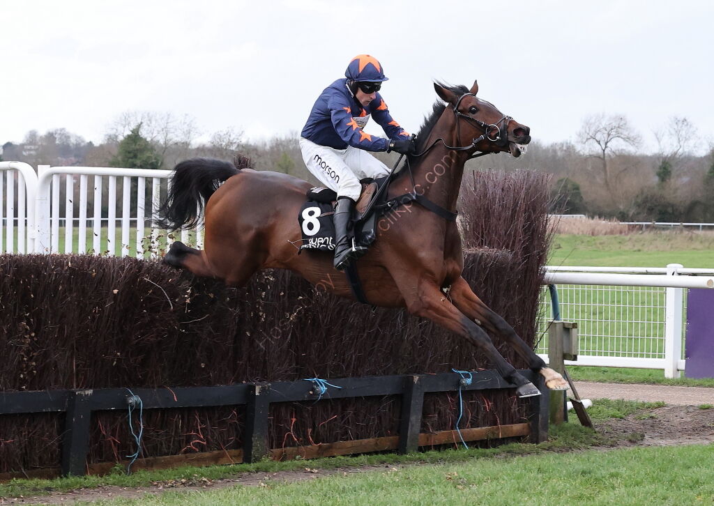 Aztec Aerosols Nov H'cap Chase