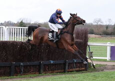 Aztec Aerosols Nov H'cap Chase