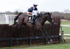 Aztec Aerosols Nov H'cap Chase