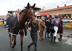 Aztec Aerosols Nov H'cap Chase