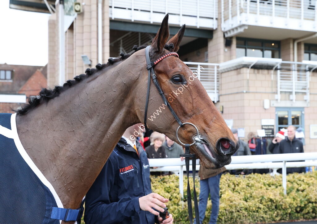 eventmasters Lady Godiva Mares' Novices'  Chase