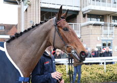 eventmasters Lady Godiva Mares' Novices'  Chase