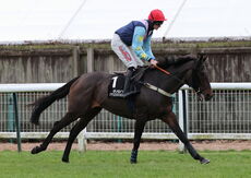 SG Fleet / Bernardo's Handicap Hurdle