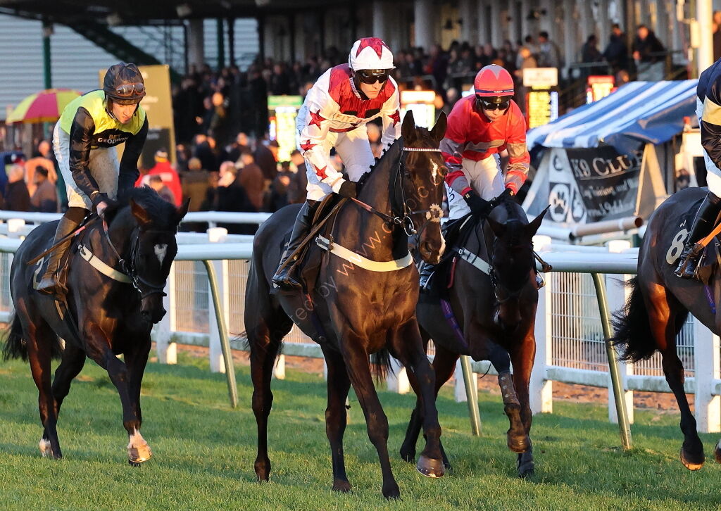 Whites Of Coventry @ JIC Logistics NH Flat Race