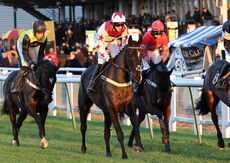 Whites Of Coventry @ JIC Logistics NH Flat Race