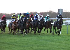 Whites Of Coventry @ JIC Logistics NH Flat Race