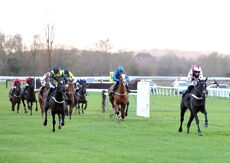 Whites Of Coventry @ JIC Logistics NH Flat Race