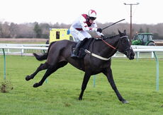 Whites Of Coventry @ JIC Logistics NH Flat Race