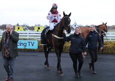 Whites Of Coventry @ JIC Logistics NH Flat Race