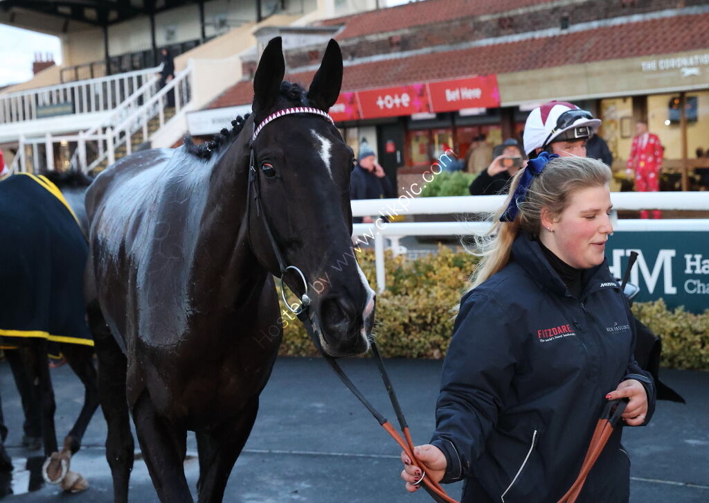 Whites Of Coventry @ JIC Logistics NH Flat Race