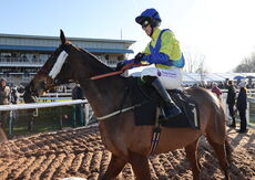 Pricedup Cond Jockeys' H'cap Chase