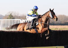 Pricedup Cond Jockeys' H'cap Chase