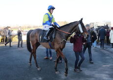 Pricedup Cond Jockeys' H'cap Chase