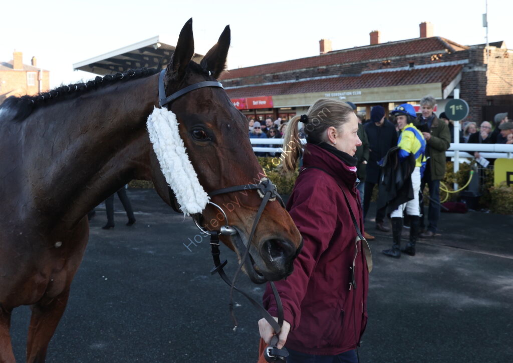 Pricedup Cond Jockeys' H'cap Chase