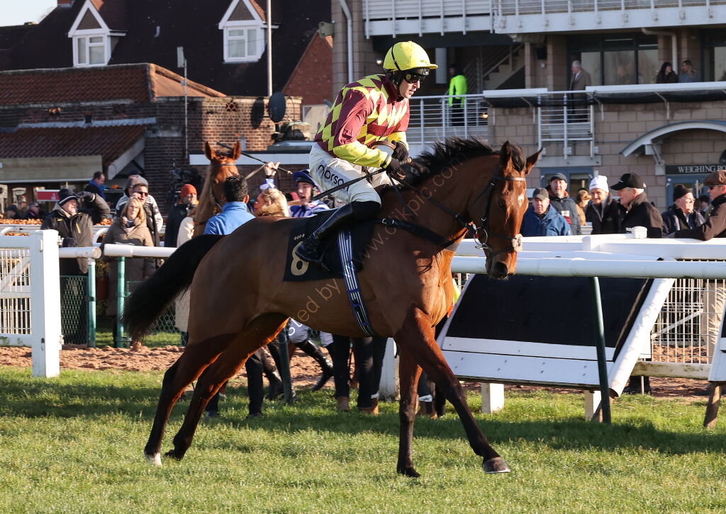 Pricedup The Jumps  EBF Mares' Nov Hurdle