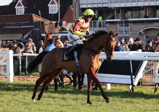 Pricedup The Jumps  EBF Mares' Nov Hurdle