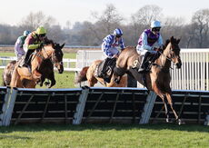 Pricedup The Jumps  EBF Mares' Nov Hurdle
