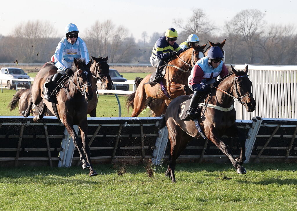 Pricedup The Jumps  EBF Mares' Nov Hurdle