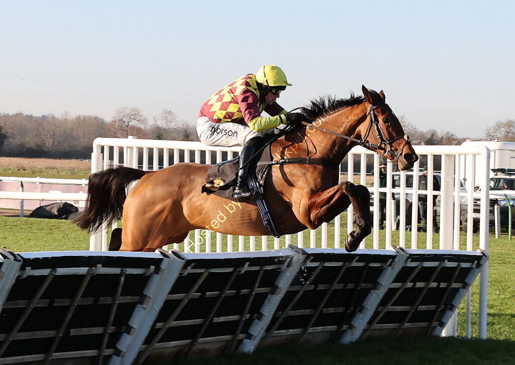 Pricedup The Jumps  EBF Mares' Nov Hurdle