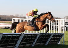 Pricedup The Jumps  EBF Mares' Nov Hurdle