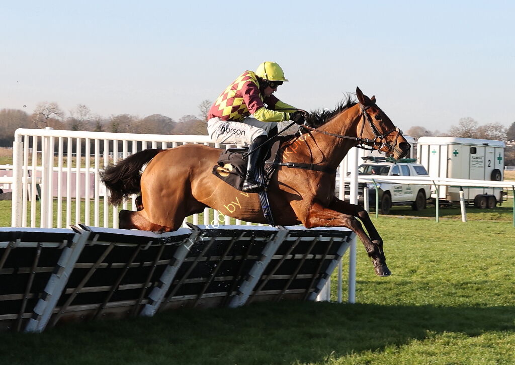 Pricedup The Jumps  EBF Mares' Nov Hurdle