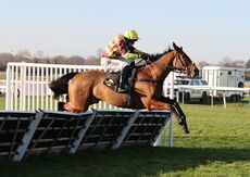 Pricedup The Jumps  EBF Mares' Nov Hurdle