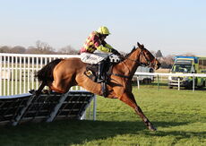Pricedup The Jumps  EBF Mares' Nov Hurdle