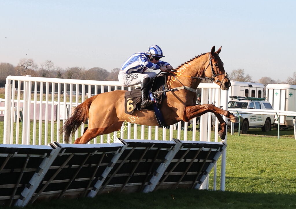 Pricedup The Jumps  EBF Mares' Nov Hurdle