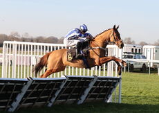 Pricedup The Jumps  EBF Mares' Nov Hurdle