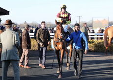 Pricedup The Jumps  EBF Mares' Nov Hurdle