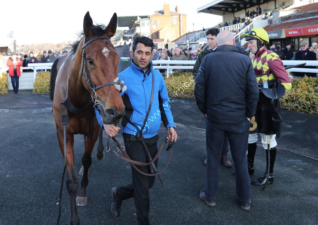 Pricedup The Jumps  EBF Mares' Nov Hurdle