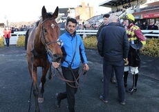 Pricedup The Jumps  EBF Mares' Nov Hurdle