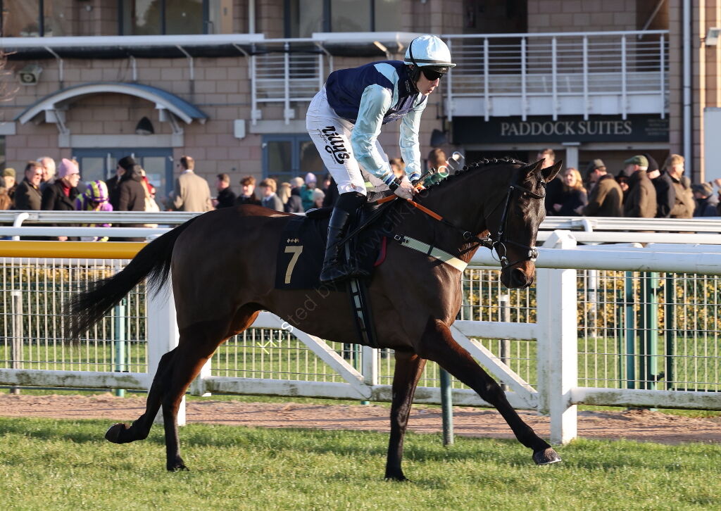 Pricedup.bet Novices' H'cap Hurdle