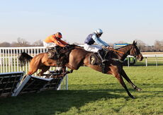 Pricedup.bet Novices' H'cap Hurdle