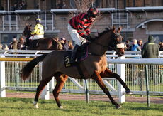 The Racing Blogger H'cap Chase