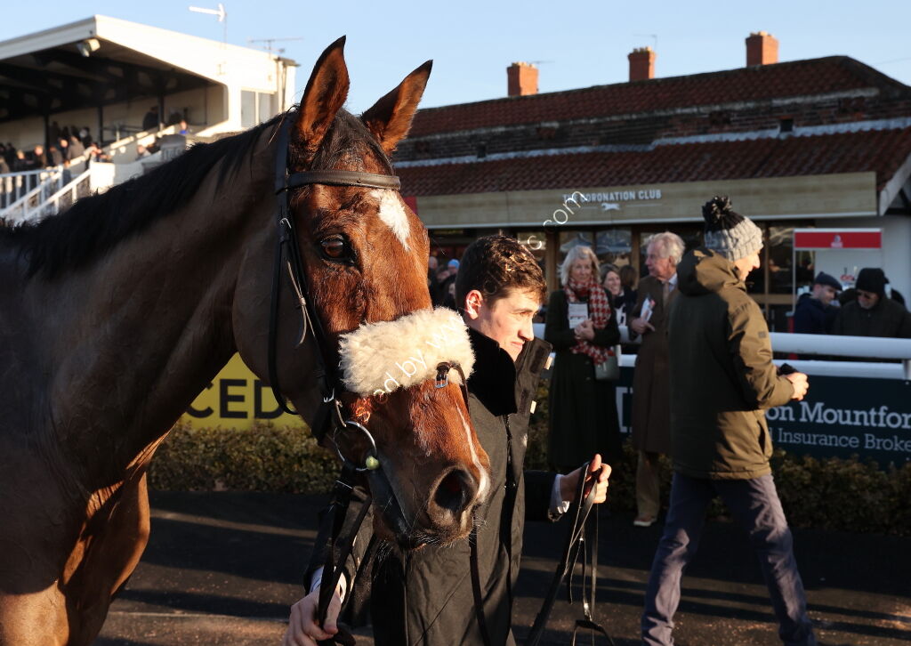 The Racing Blogger H'cap Chase