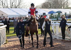 Pricedup App  Handicap Hurdle