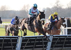 Pricedup App  Handicap Hurdle